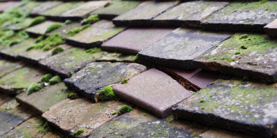 Aveley roof repair costs